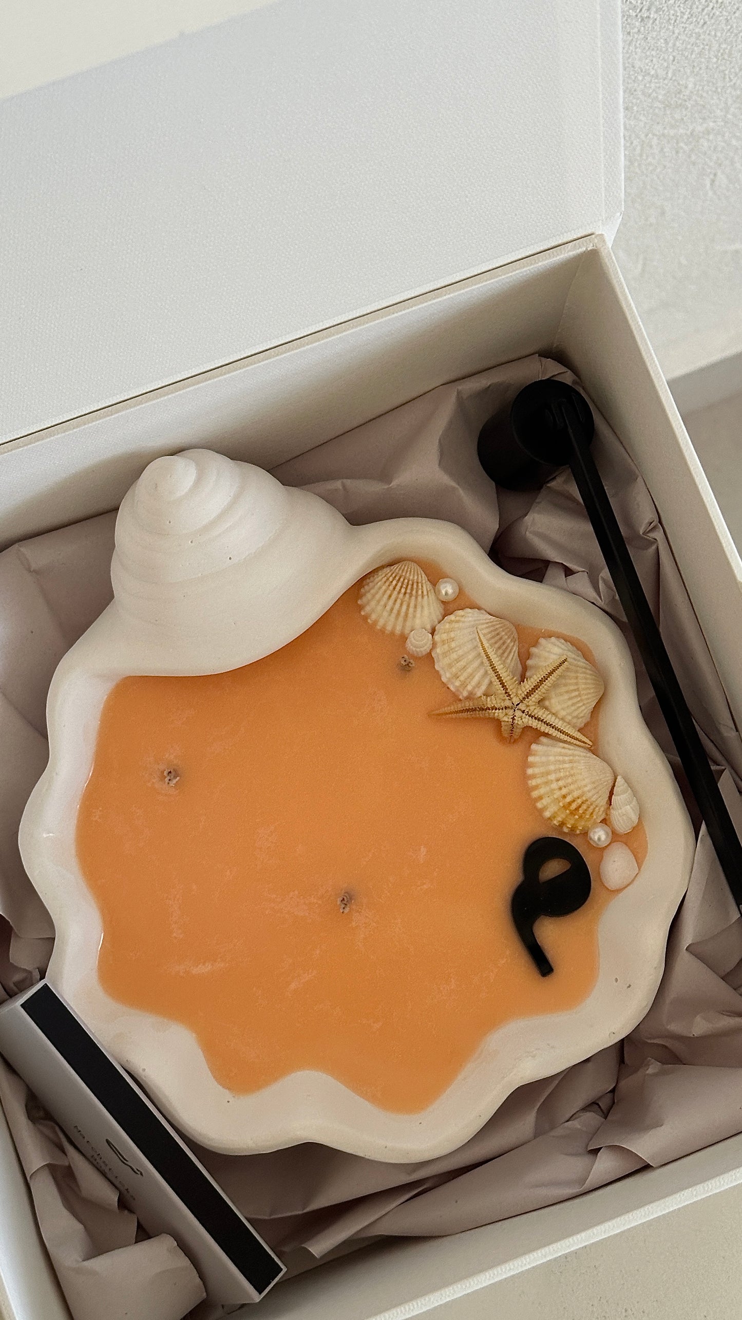 Seashell Candle Gift Set