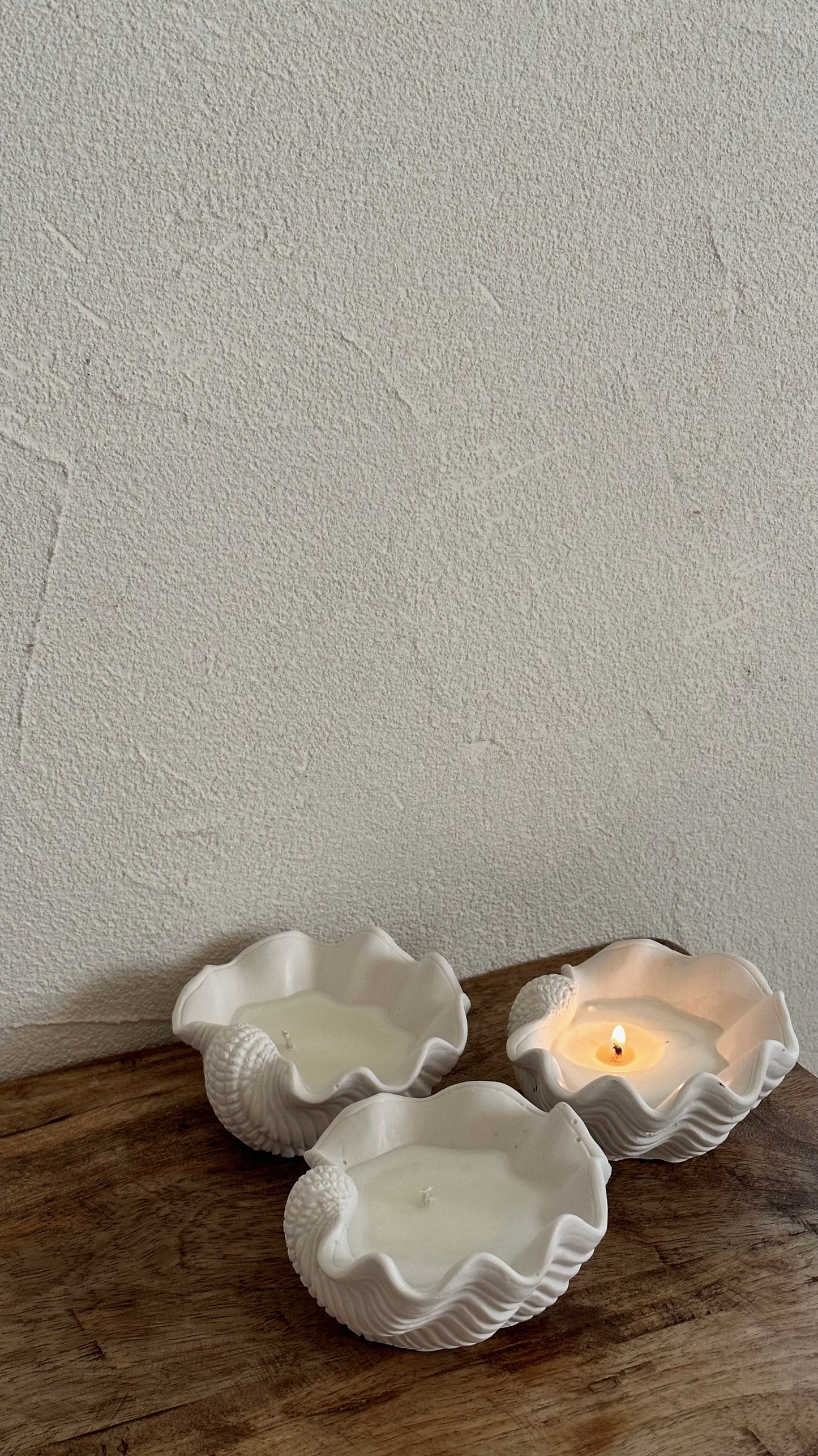 Seashell Candle