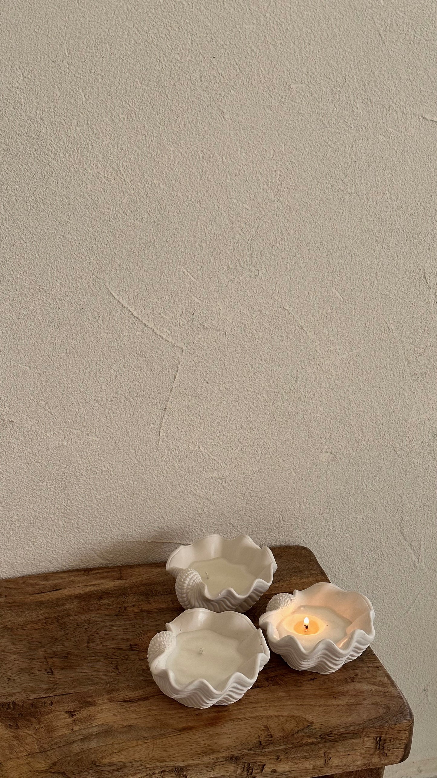 Seashell Candle