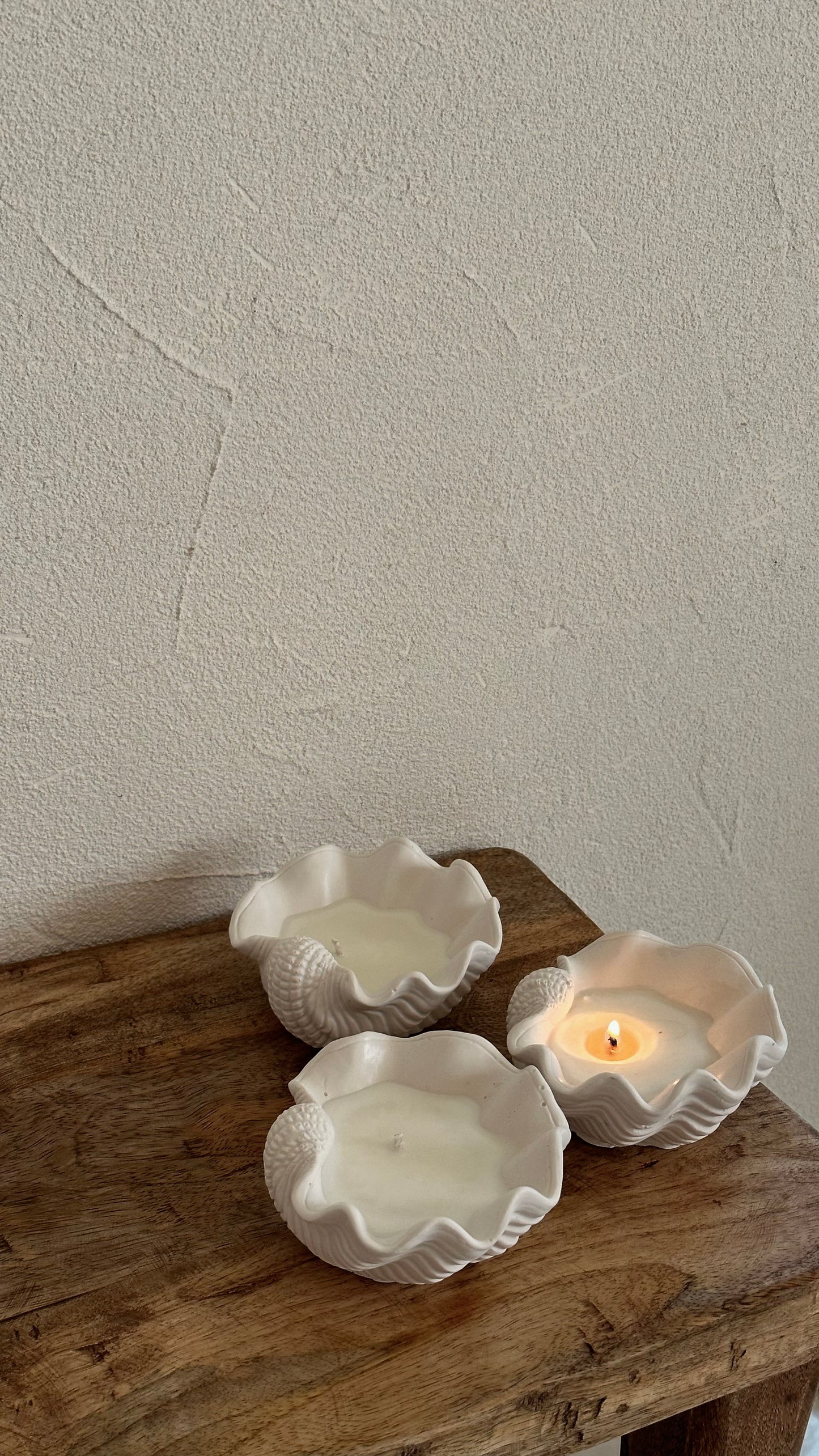 Seashell Candle